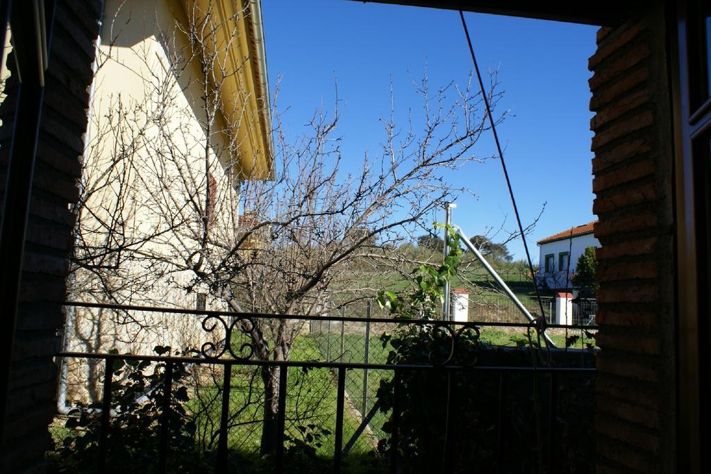 Casa Rural Pena Falcon Torrejón el Rubio Dış mekan fotoğraf